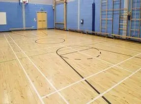 Sport-Umwelt-PVC-Bodenbelag für Fitnessstudio